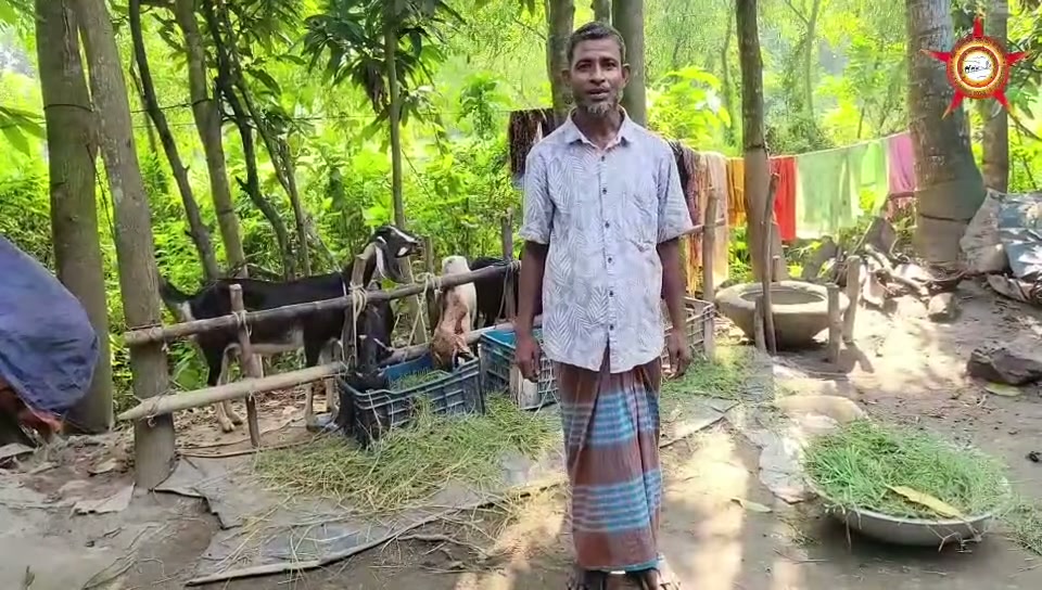 The participant introduced as Abdul Hannan standing among his goats in a shaded yard.