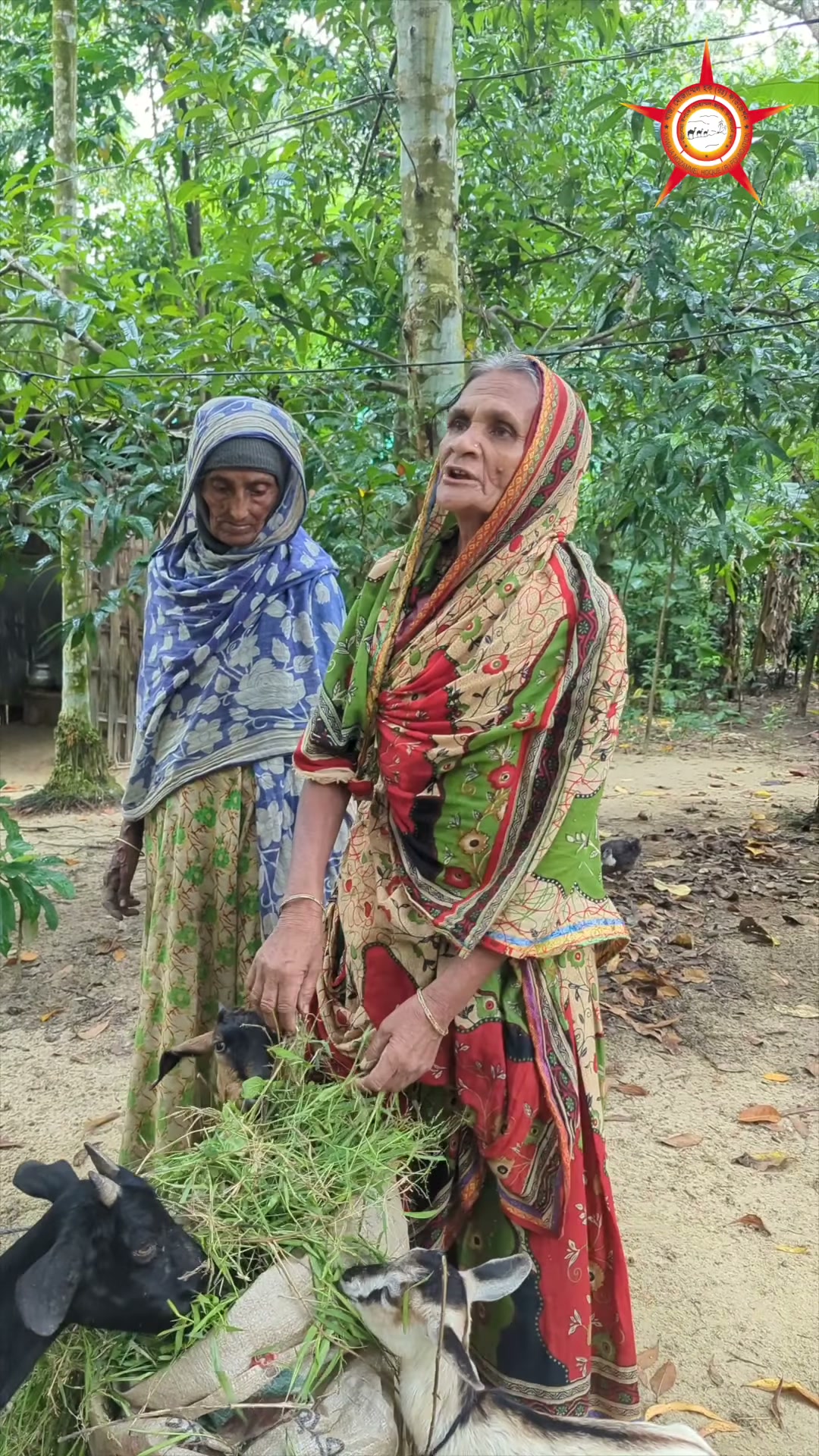 The participant introduced as Amirjan Bibi standing beside goats.